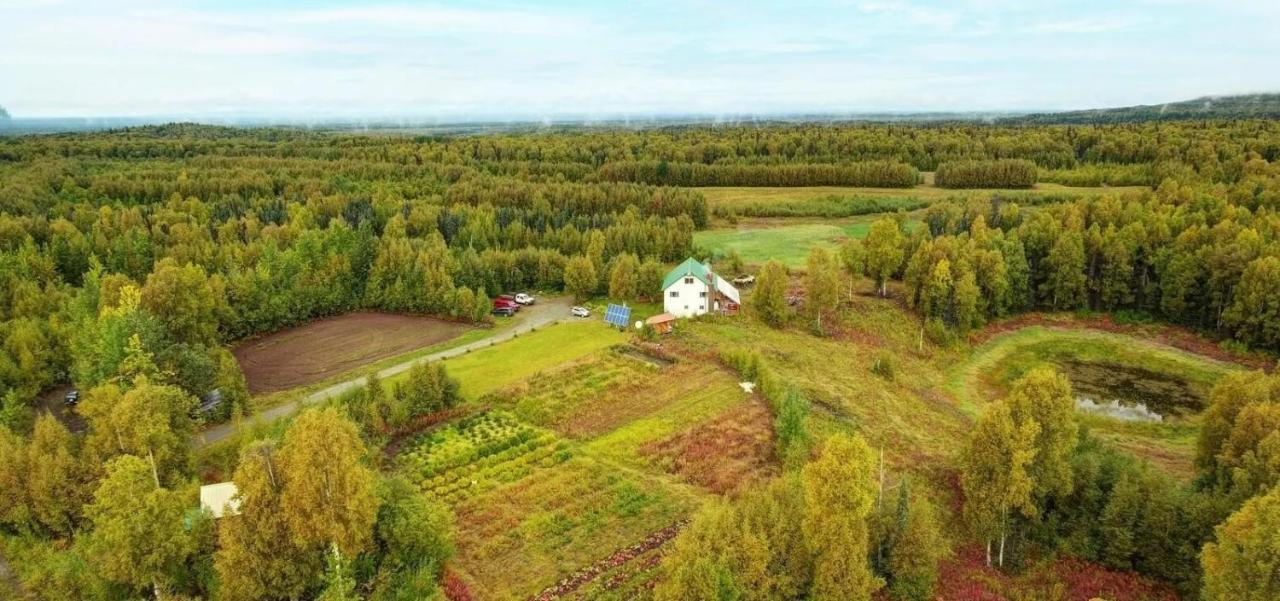 Falcon'S Nest Bed And Breakfast Talkeetna Exterior foto