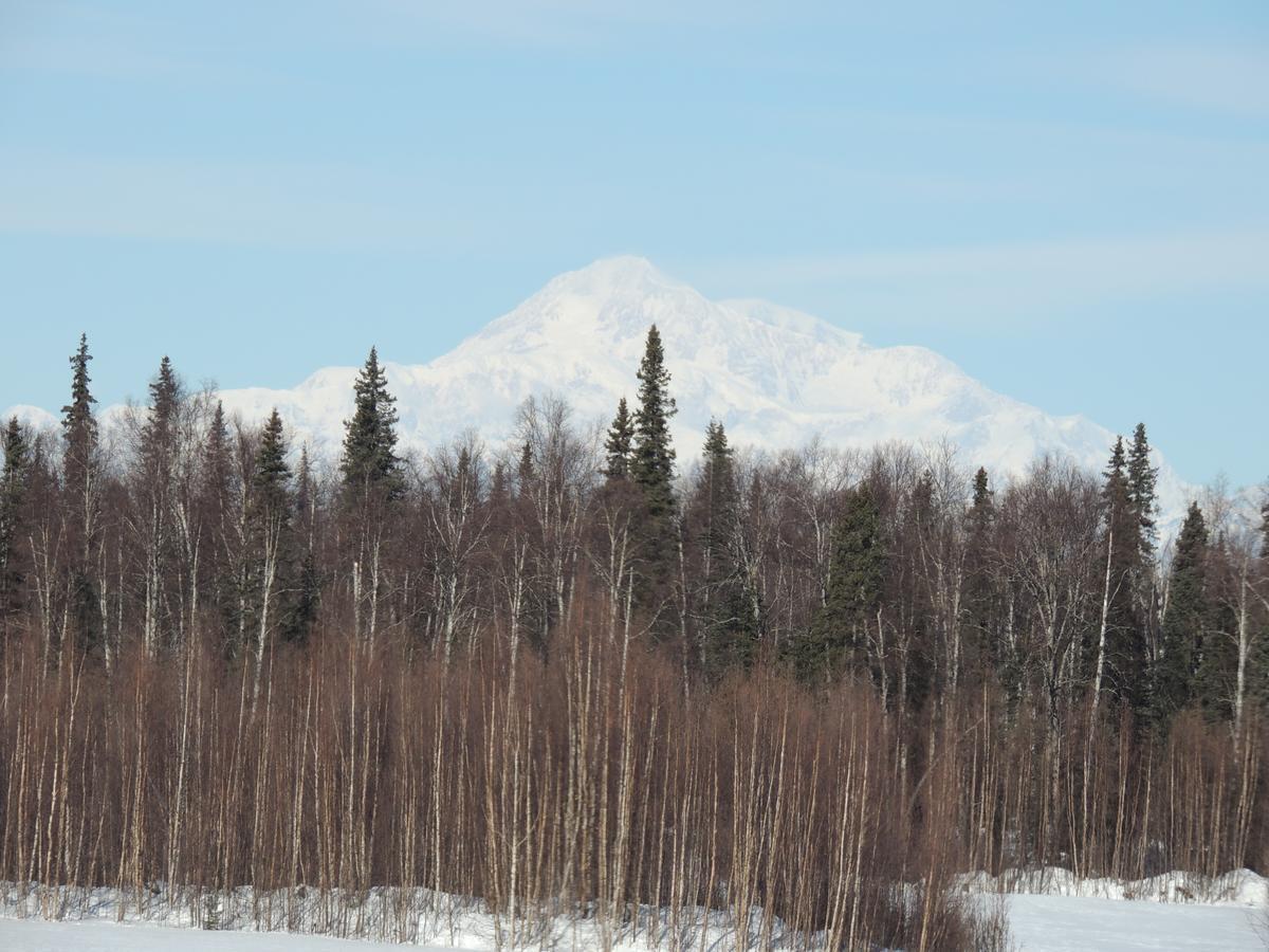 Falcon'S Nest Bed And Breakfast Talkeetna Exterior foto